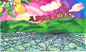 a 1945 - Apricots